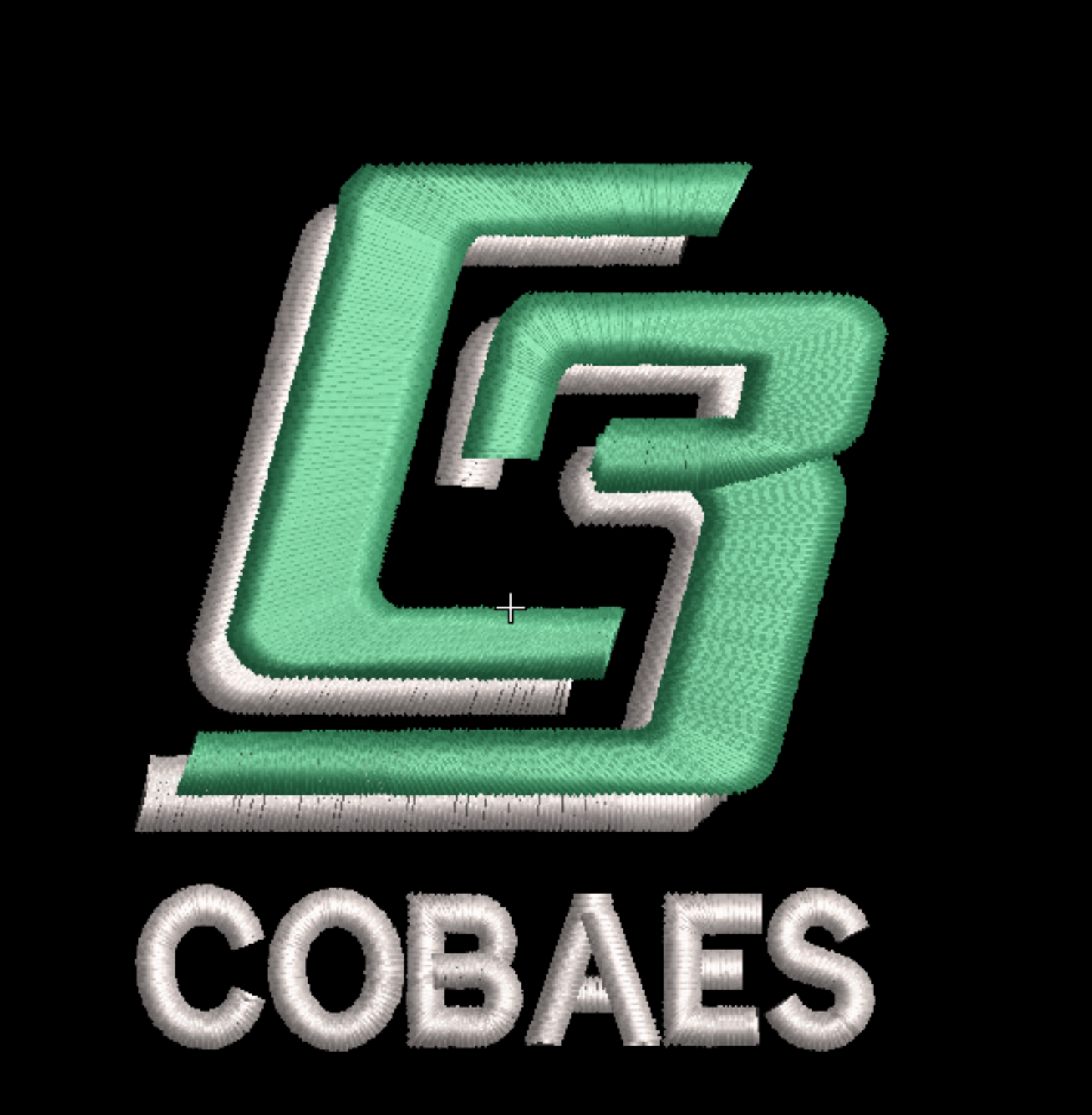 Bordados de Escudos Escuelas